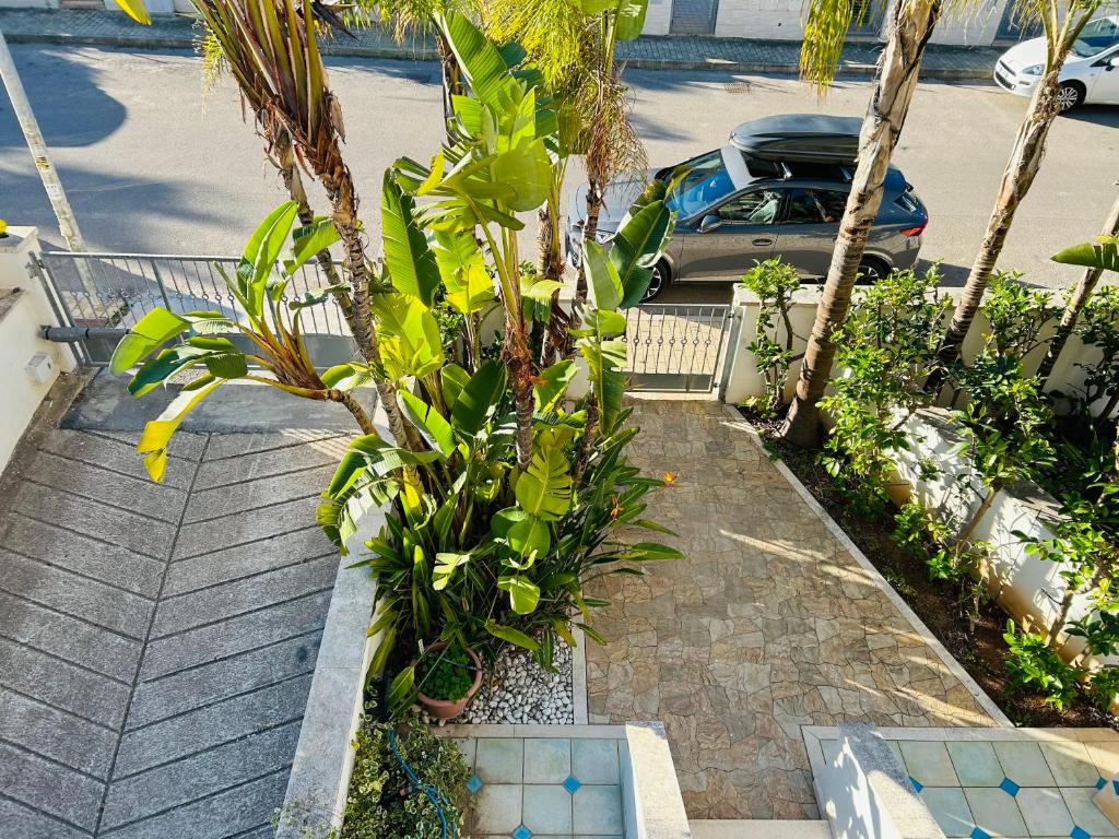 Residenza Zaffiro - 3