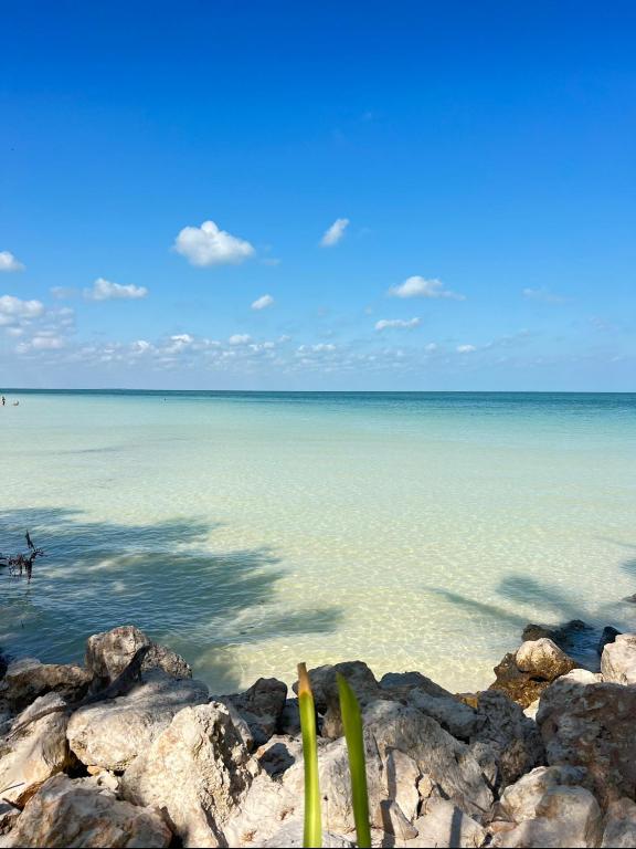 Atenea Holbox, Ostrov Holbox