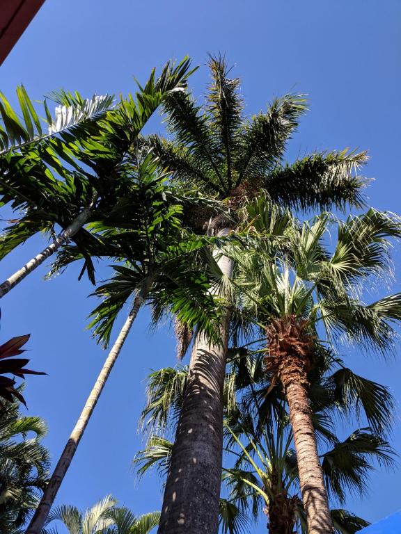 Surrounding environment