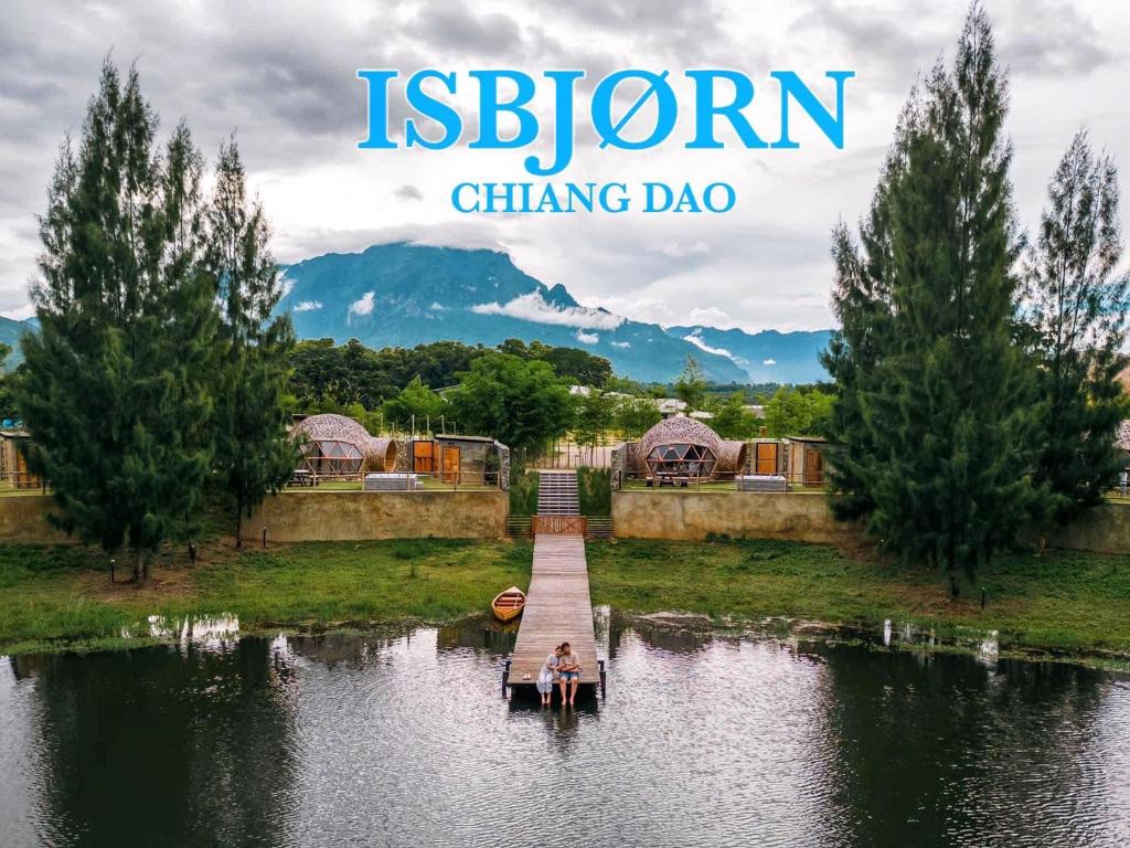 Isbjorn chiangdao, Chiang Dao