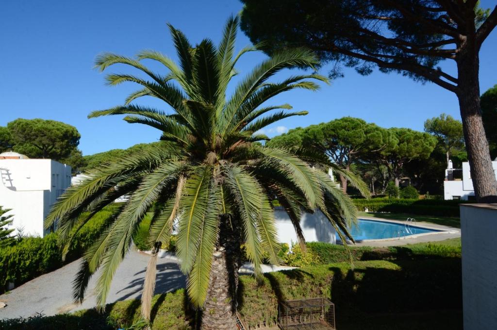 PIVERD DEL GOLF 22 - 2