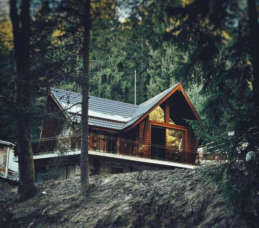 CHALET ELEVEN, Dospat