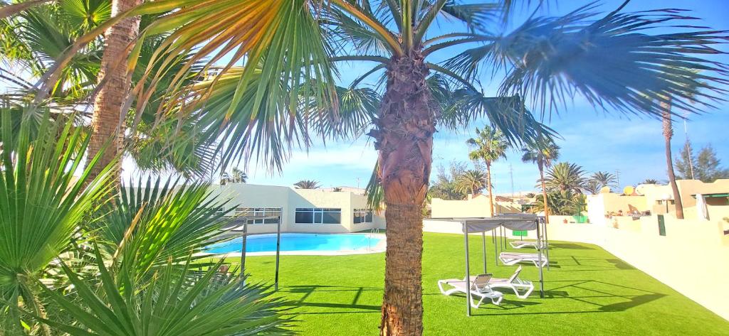 Ferienwohnung Calma, Costa Calma