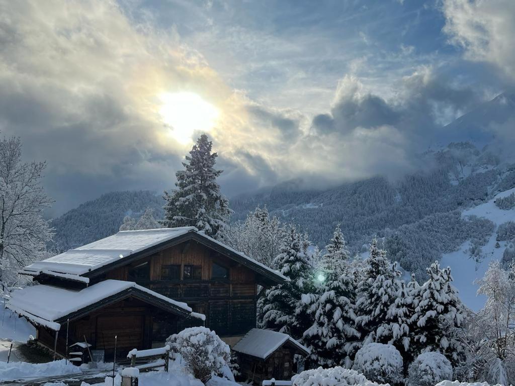 Superbe CHALET (14 personnes) & SAUNA au pied du Mont Blanc - 3