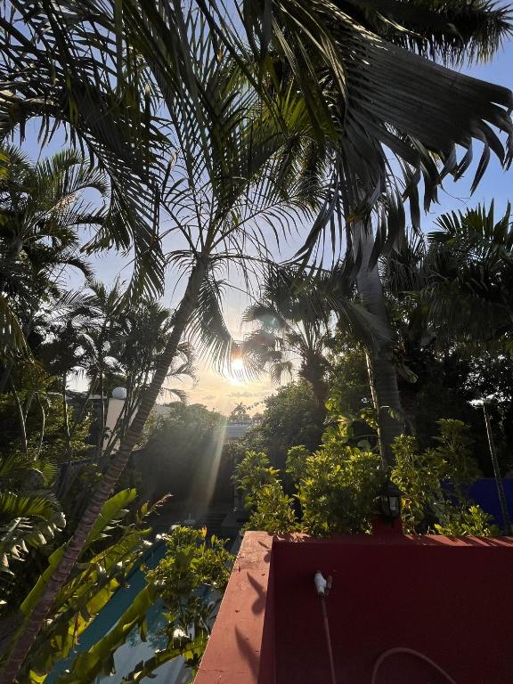 Surrounding environment