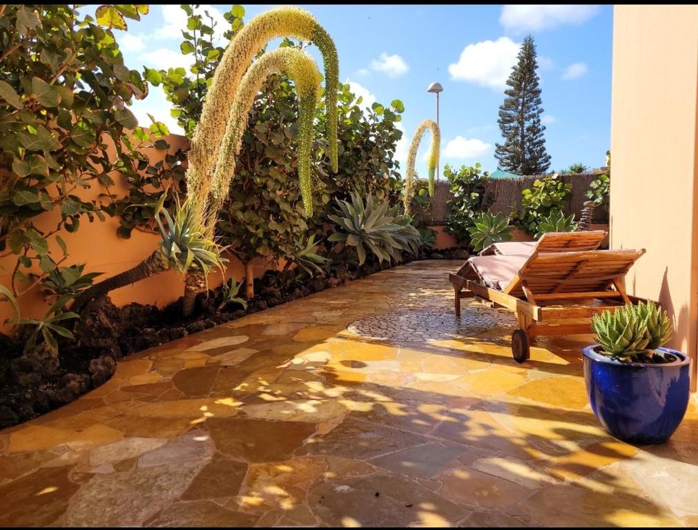 Casa Volcan - 4
