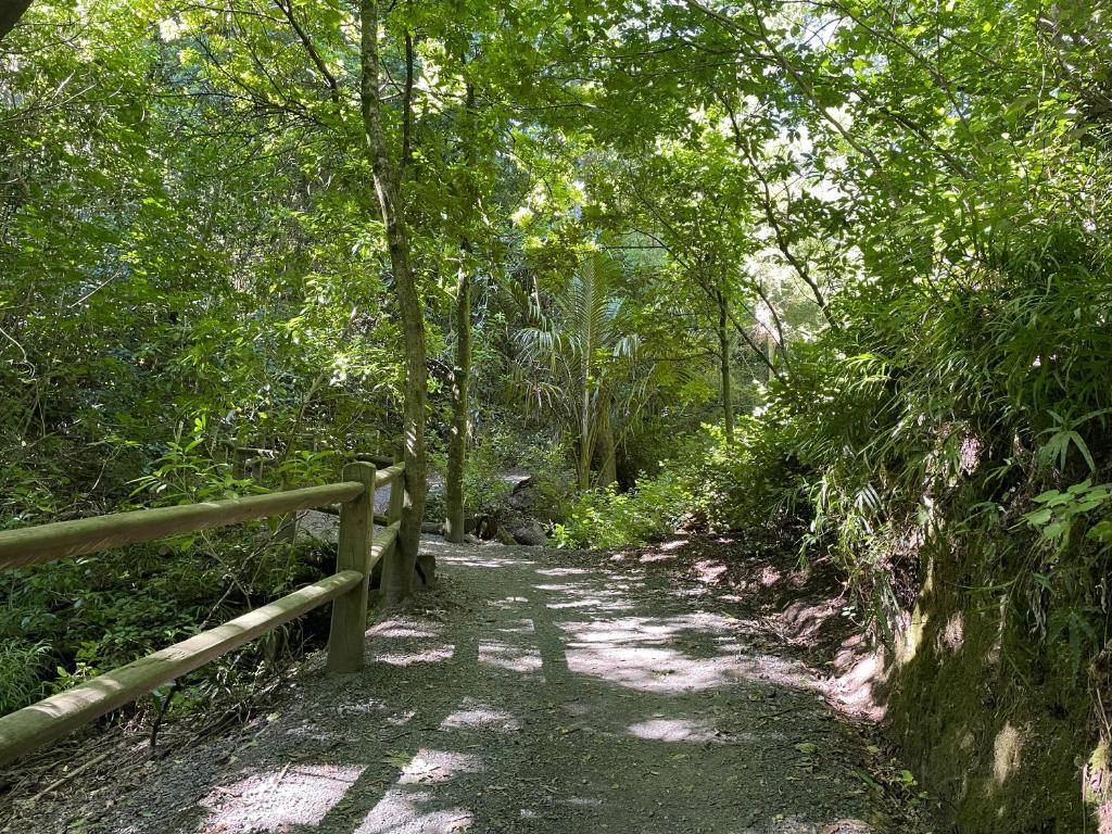 Surrounding environment