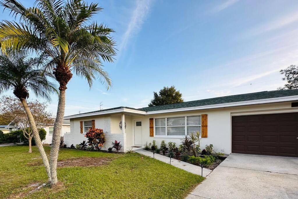 Sea Turtle Cove, Clearwater