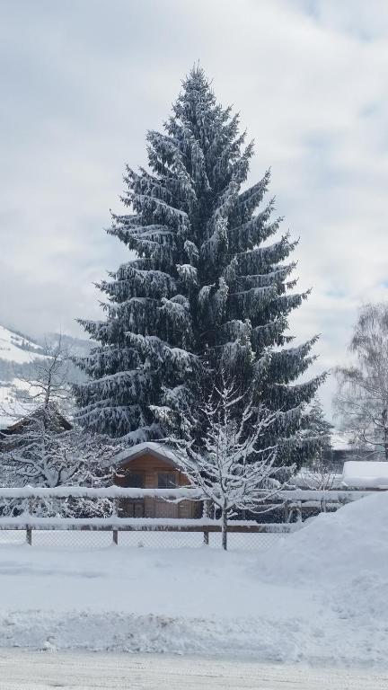 Hotel Wieser - 5
