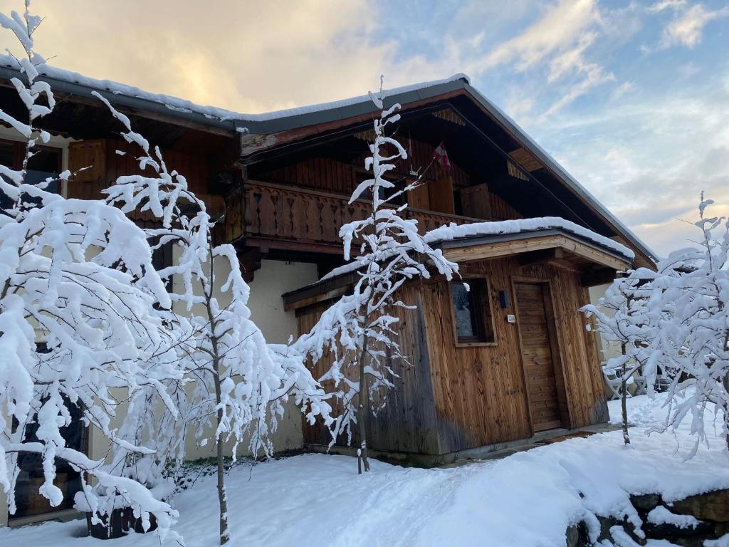 Joyeux Flocon - Spacieux chalet - 4