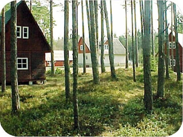 Roosi Camping Houses photo