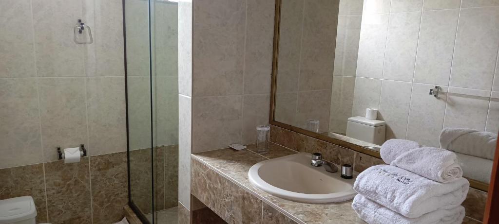 Hotel Viña del Sur - 4