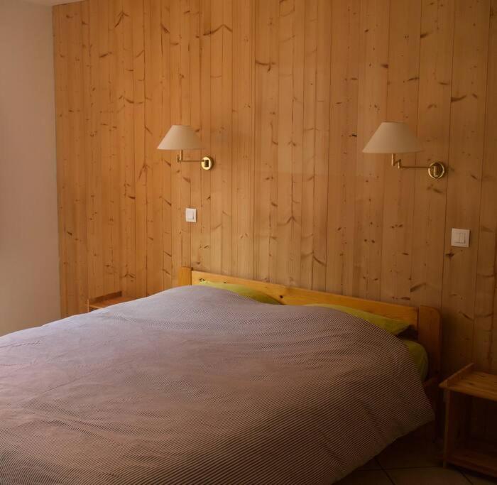 Chalet montagne Savoie Domaine Skiable Valmorel - 3