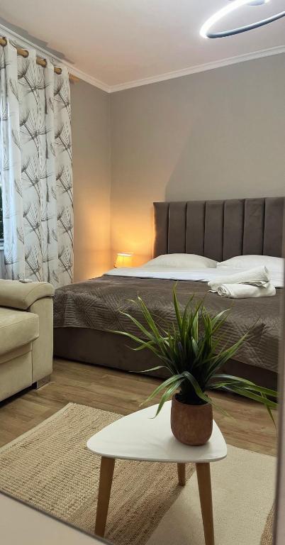 New Bazaar Cane Apartment 2, Tirana