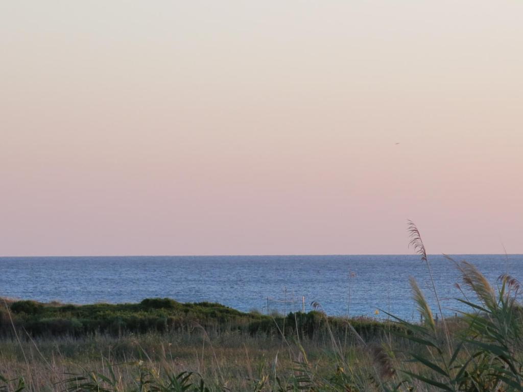 LUCKY Grazioso appartamento vista mare - 3