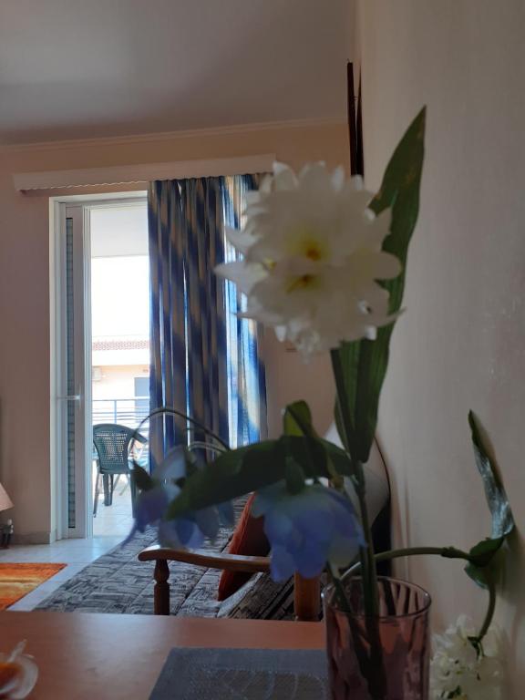 a comfortable studio near the University, Patra