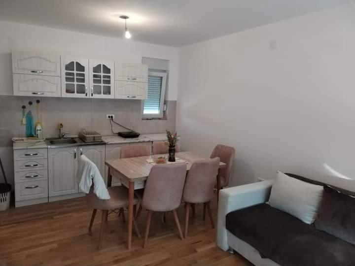 Apartman Ziza, Soko Banja