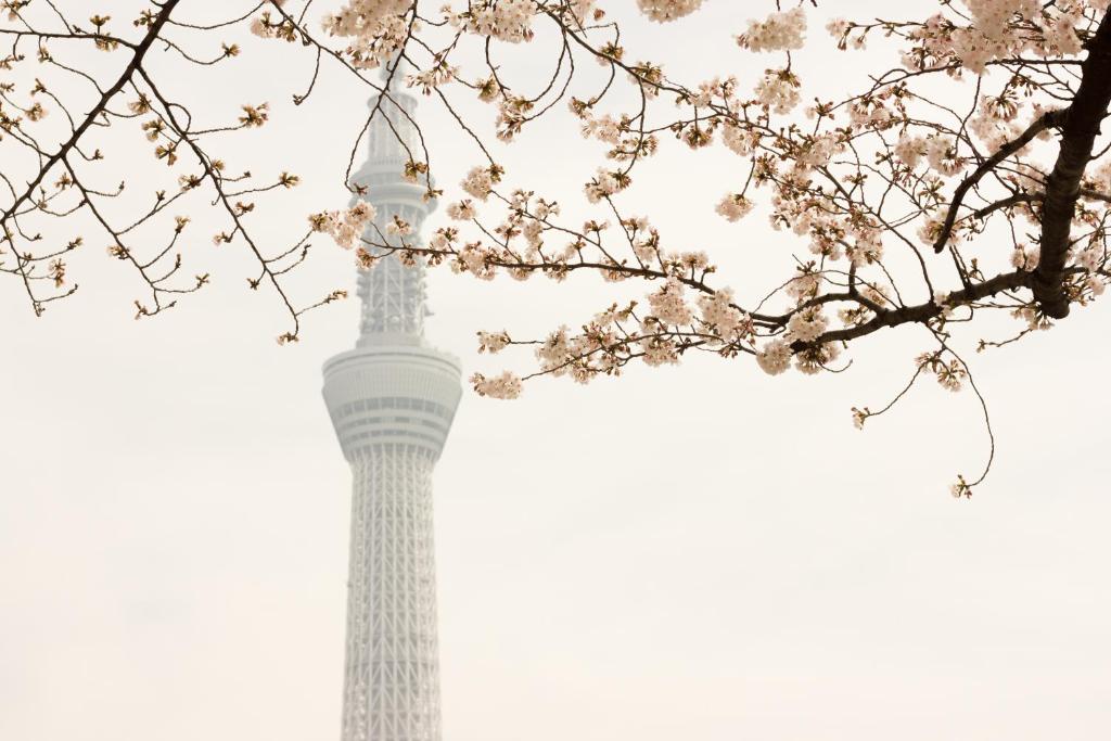 附近景點