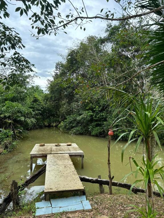 Surrounding environment