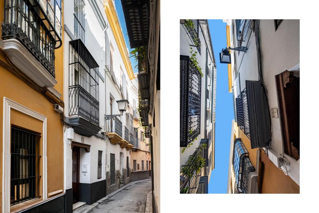 Magno Apartments Virgenes Luxury House 전경