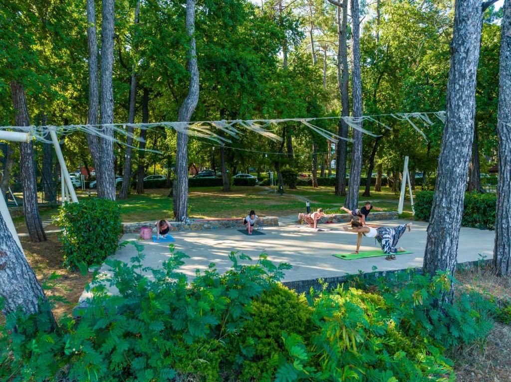 アクティビティ