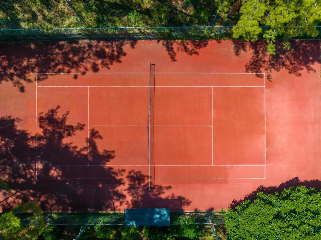 アクティビティ