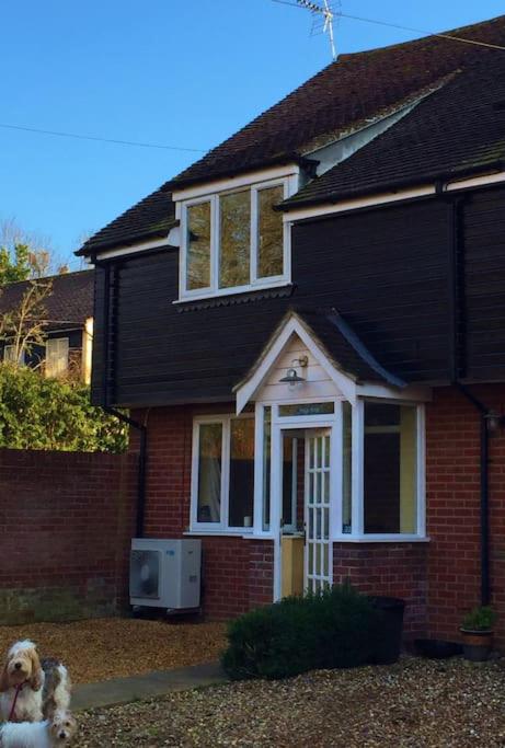 Gorgeous Comfy Cottage Walking Birdwatching Paddle Boarding and Seafood on the Doorstep, West Mersea