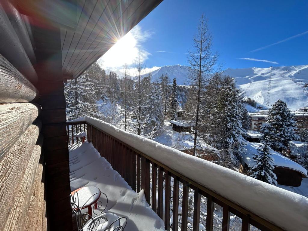 PARADIS LODGE, chalet altitude 2000m, Vue, Plagne Centre, 200m des pistes, La Plagne Tarentaise