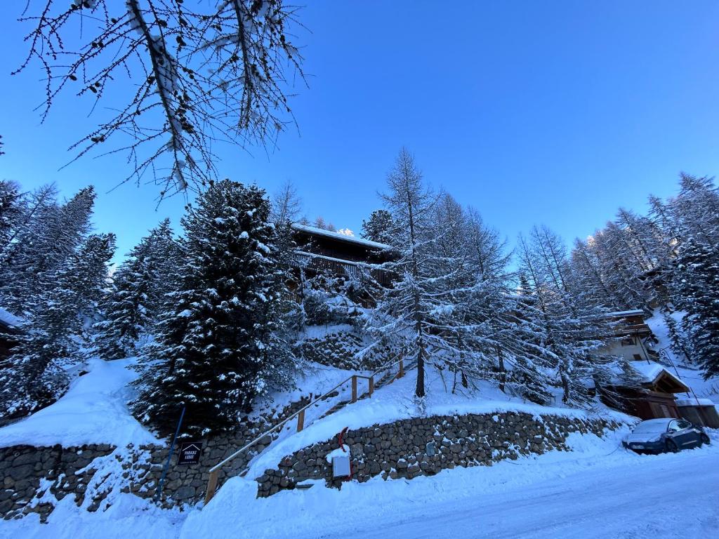 PARADIS LODGE, chalet altitude 2000m, Vue, Plagne Centre, 200m des pistes - 2