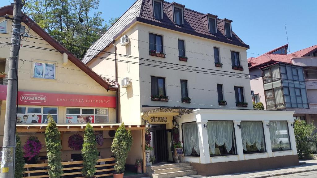 Vila Royal — Hotel in Bacau