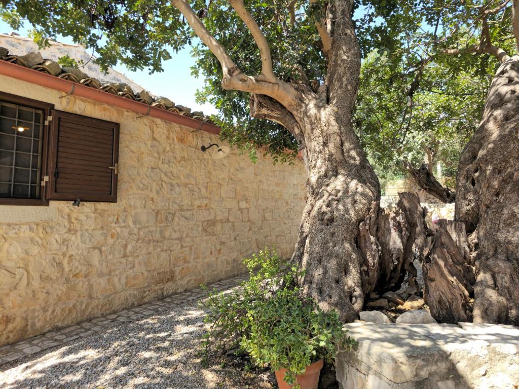 Villa Maros - 5