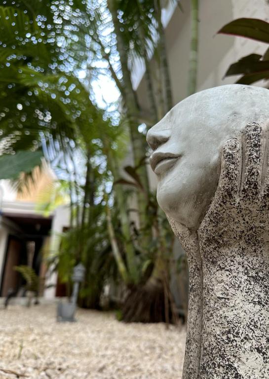 Pachamaya Holistic Wellness & Spa - Adults Only - 3