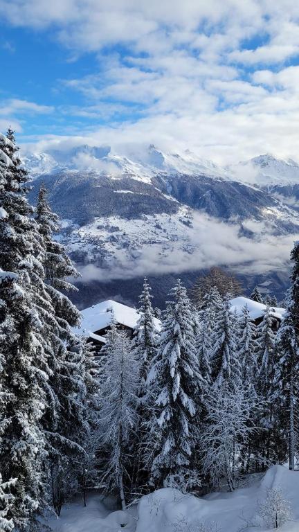 Cosy studio for 4 near ski lift, HAMEAU C13 - 2