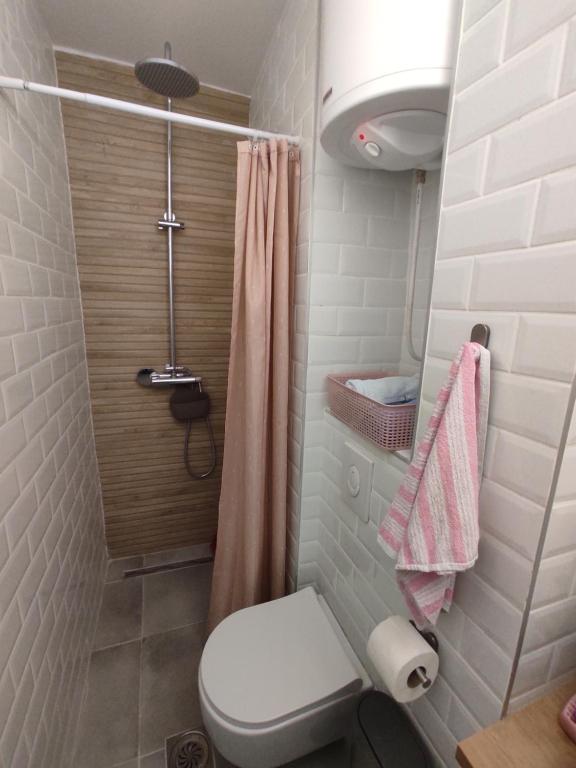 Studio Valjevska Street - 3