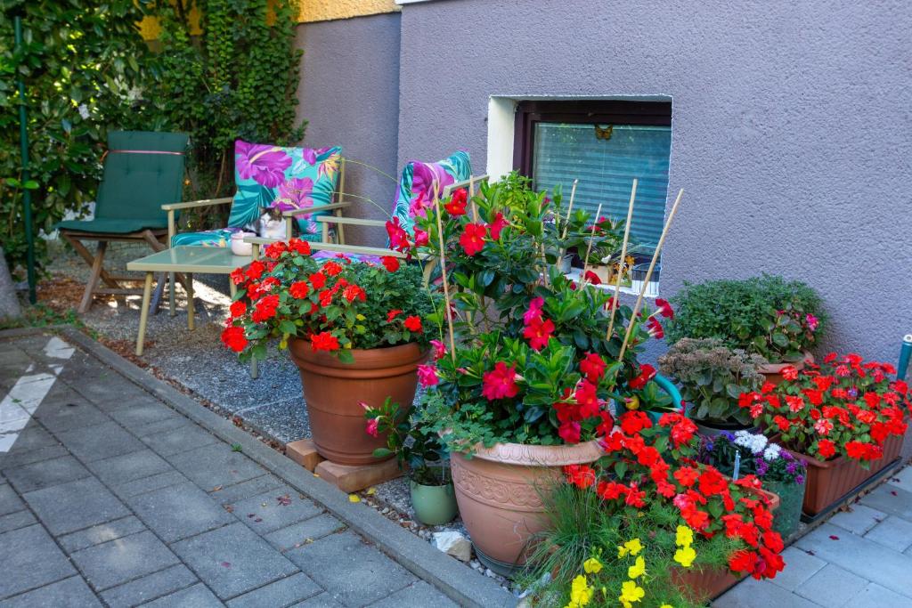 Casa Wendl - 3