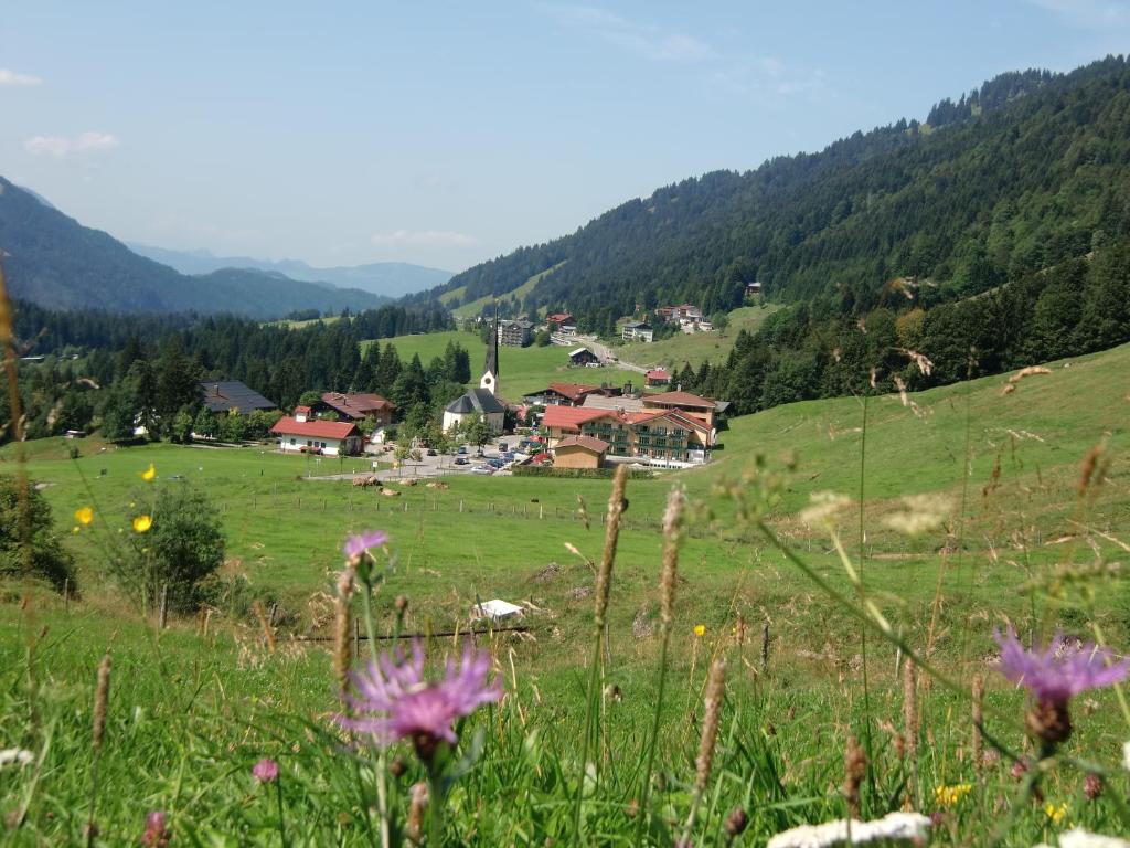 Gemütliche Ferienwohnung Bergwiese, 2-Raum, separates Schlafzimmer, schönen Balkon oder Terrasse, Komfort Ausstattung, ruhige Südlage, kostenfrei WLAN und schöne helle Sauna, Brötchenservice, Parkplatz, Hunde auf Anfrage, E-Tankstelle, Sonnenlage - 2