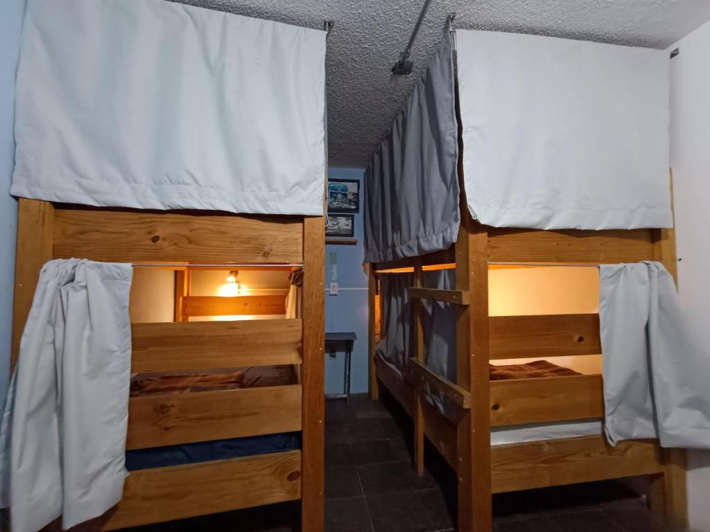 Monkey Safari Hostel - 3