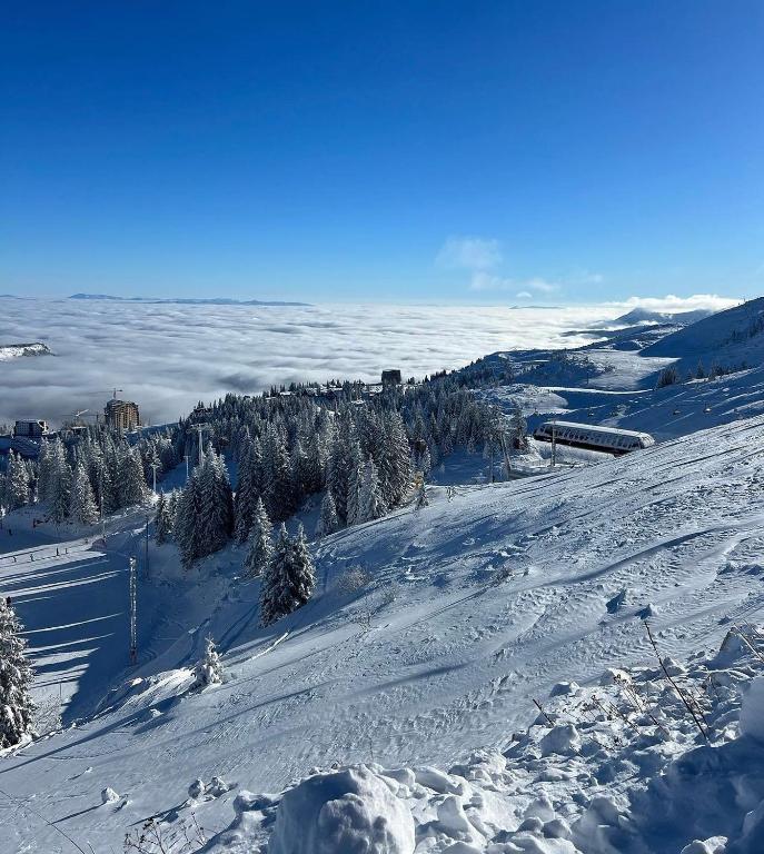 Private Apartment B327 Aparthotel Vucko - 5