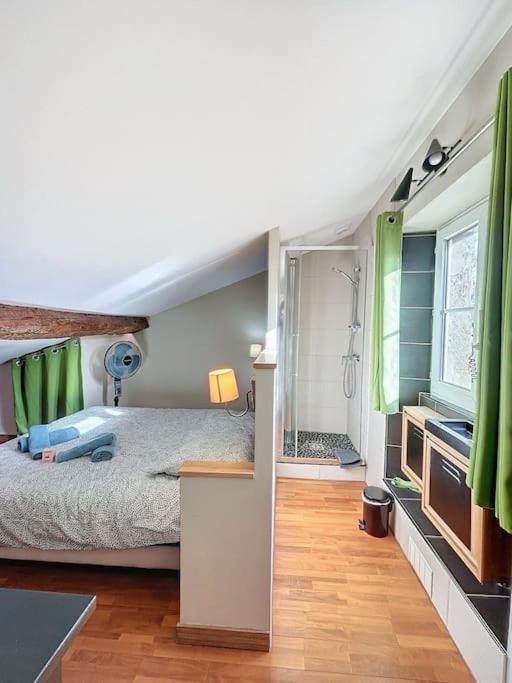 Le chalet des Carmes - Charmant T4 Hypercentre - 5
