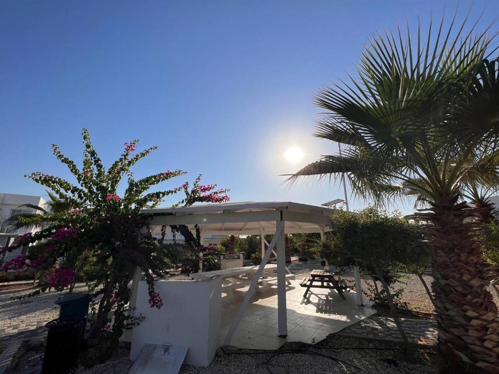 Двухкомнатные апартаменты в жилом комплексе Caesar Beach D2 Flat11, Boğaz