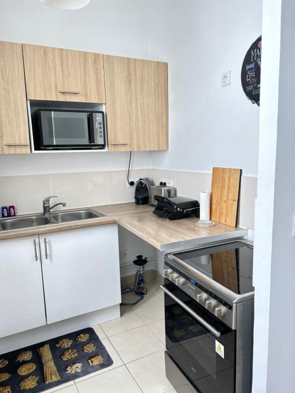 Bel appartement plein coeur de paris - 5