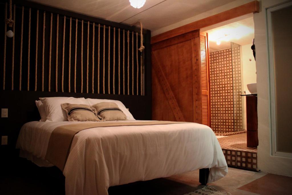 Hotel Damiana Boutique - 4