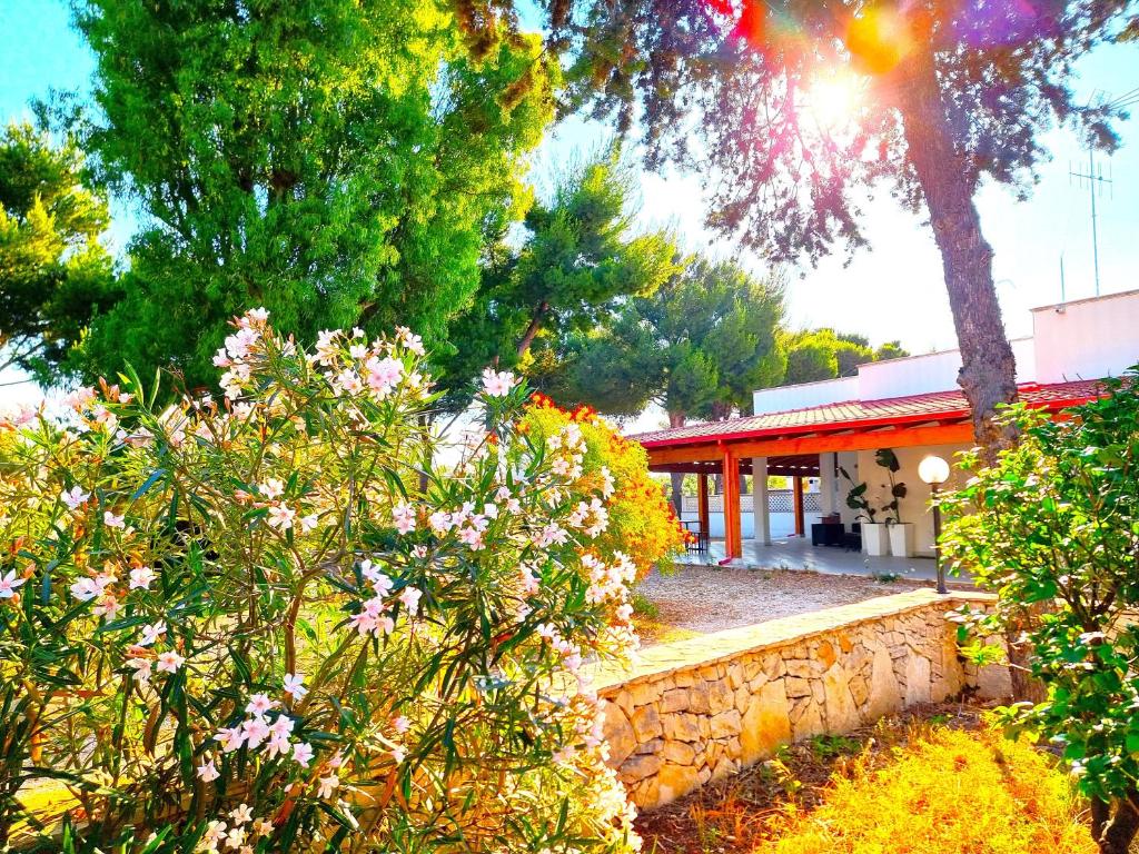 Villa Costanza - 1
