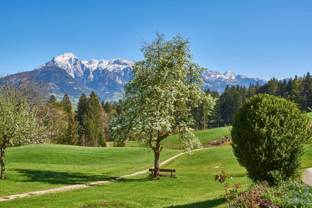 Alpenhotel Hundsreitlehen - 2