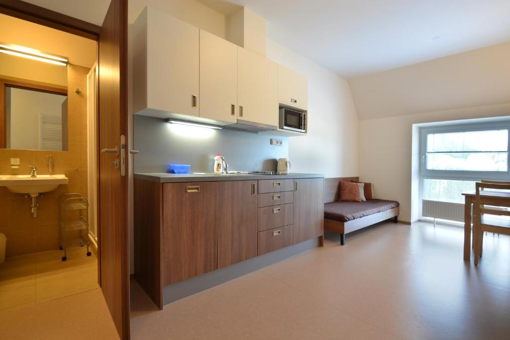 Kitchen, Apartmany Rokytka Snowhouse in Rokytnice nad Jizerou