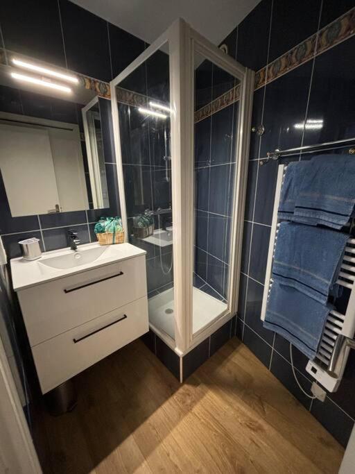 Appartement le Cristal Dinard bord de mer - 3