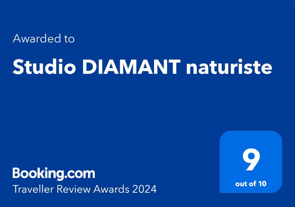 Studio DIAMANT naturiste - 4