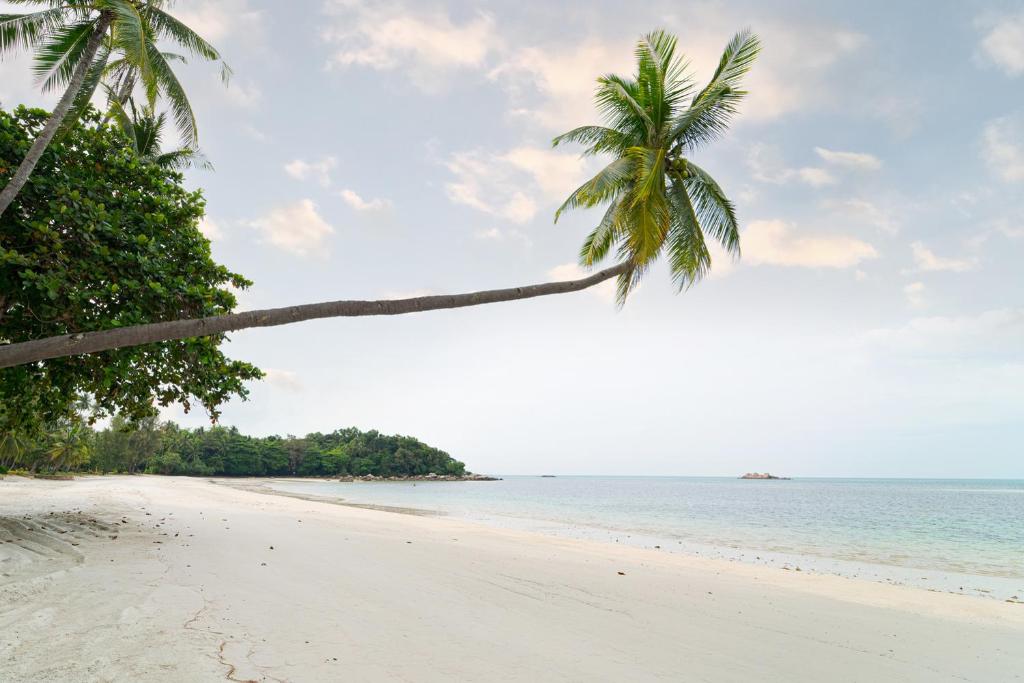 المنطقة المحيطة