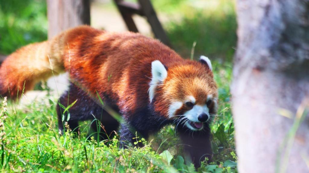 Attraksjoner i nærheten