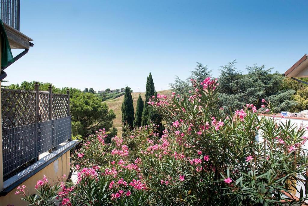 M213 - Marcelli, trilocale con ampio terrazzo panoramico - 3